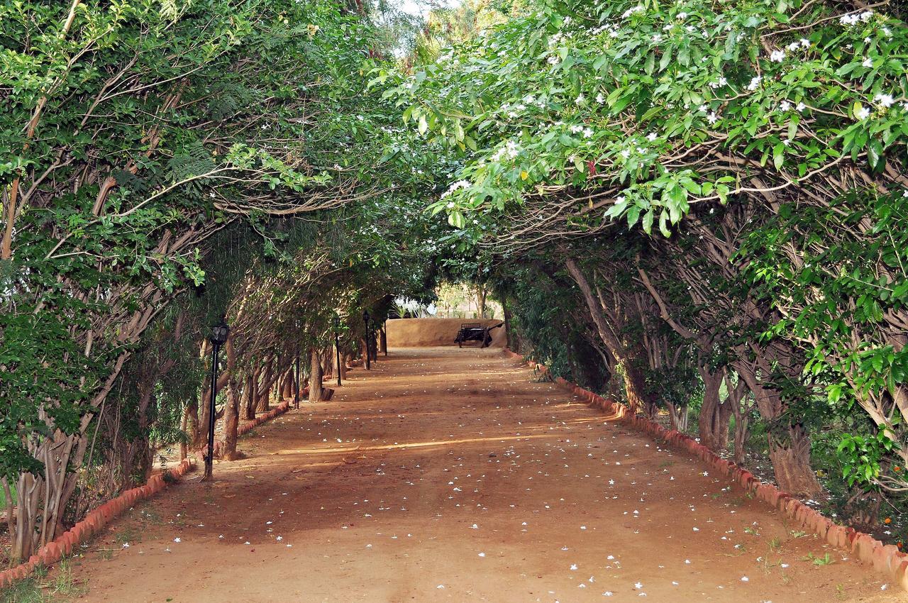 Tiger Machan Resort Ranthambore Экстерьер фото